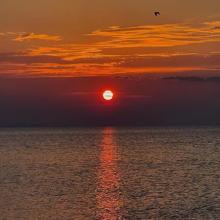 Pavone * Marina di Ginosa